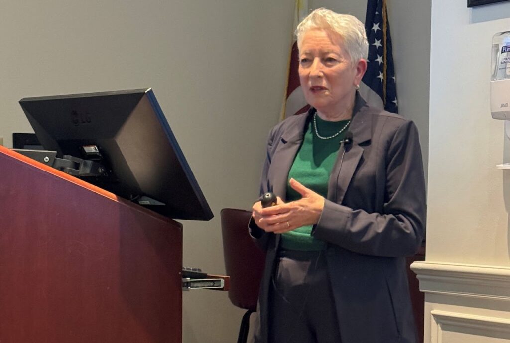 Speaker at a lecture presentation
